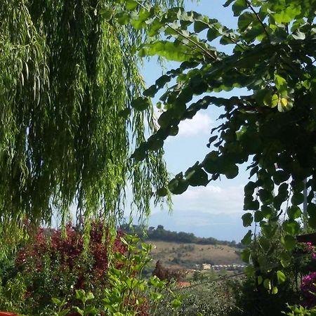 Tre cammelli in collina Villa Montesilvano Marina Esterno foto