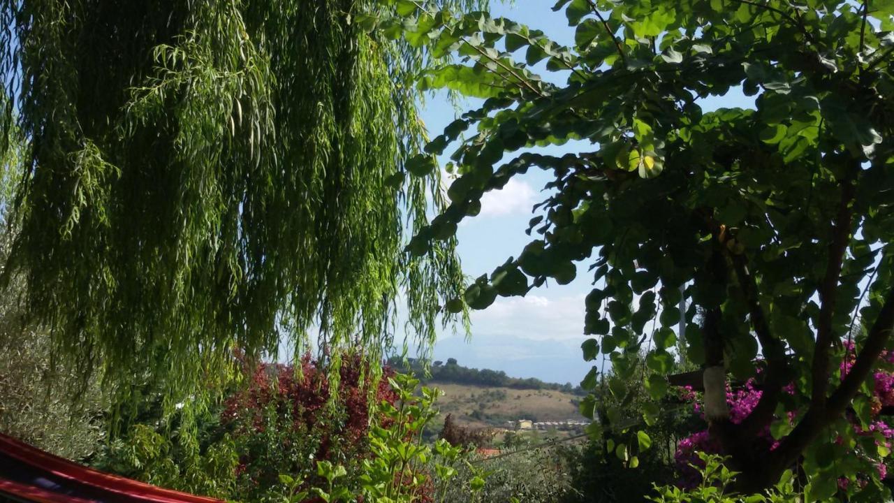 Tre cammelli in collina Villa Montesilvano Marina Esterno foto