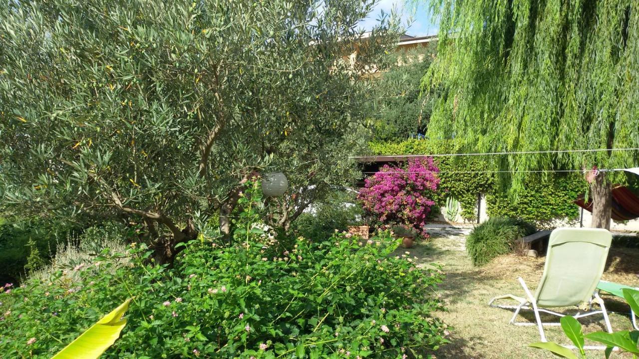 Tre cammelli in collina Villa Montesilvano Marina Esterno foto