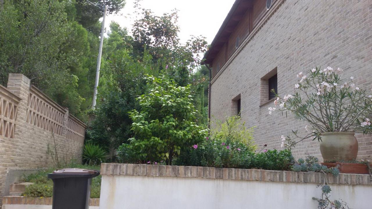 Tre cammelli in collina Villa Montesilvano Marina Esterno foto